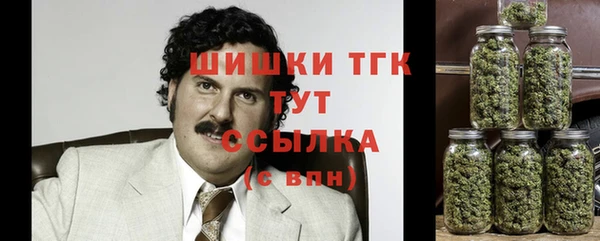 apvp Медвежьегорск