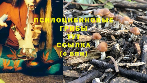 прущая мука Мегион