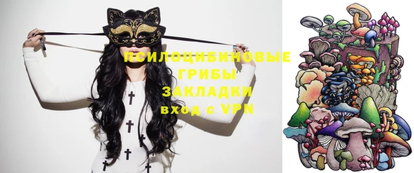 амф Покров