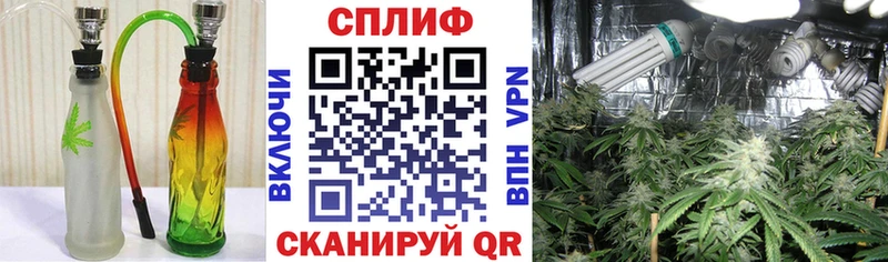 наркотики  Струнино  Марихуана планчик 